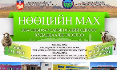 НӨӨЦИЙН МАХ ХУДАЛДААЛЖ ЭХЭЛЛЭЭ