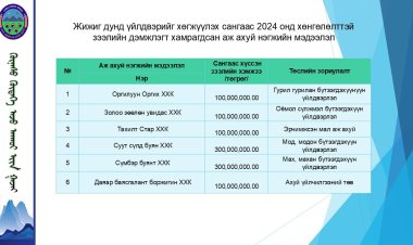 ЖИЖИГ ДУНД ҮЙЛДВЭРИЙГ ХӨГЖҮҮЛЭХ САНГААС ХӨНГӨЛӨЛТТЭЙ ЗЭЭЛД ХАМРАГДСАН ИРГЭДИЙН СУДАЛГАА