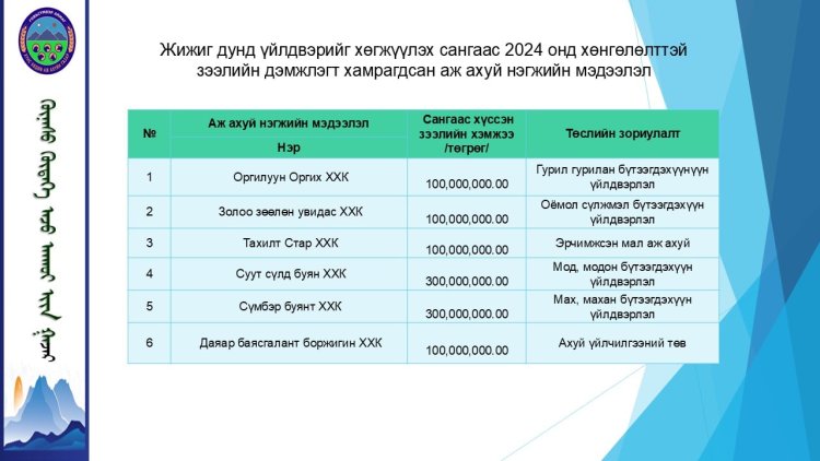 ЖИЖИГ ДУНД ҮЙЛДВЭРИЙГ ХӨГЖҮҮЛЭХ САНГААС ХӨНГӨЛӨЛТТЭЙ ЗЭЭЛД ХАМРАГДСАН ИРГЭДИЙН СУДАЛГАА