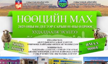 НӨӨЦИЙН МАХ ХУДАЛДААЛЖ ЭХЭЛЛЭЭ